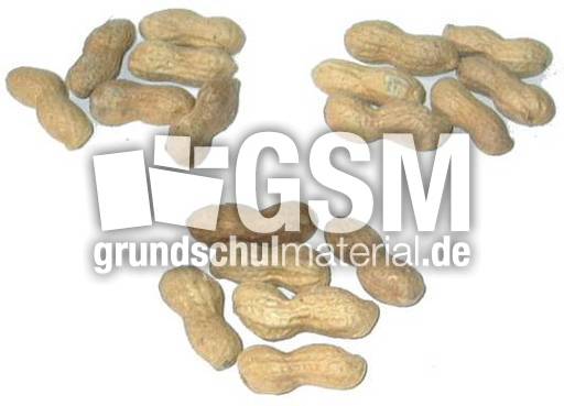 Erdnüsse-3x6.jpg